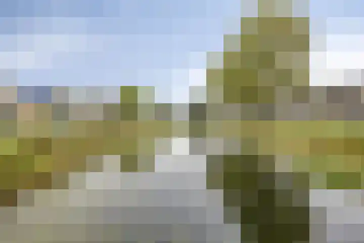 Hoefbladveld 33 Doetinchem thumbnail 36