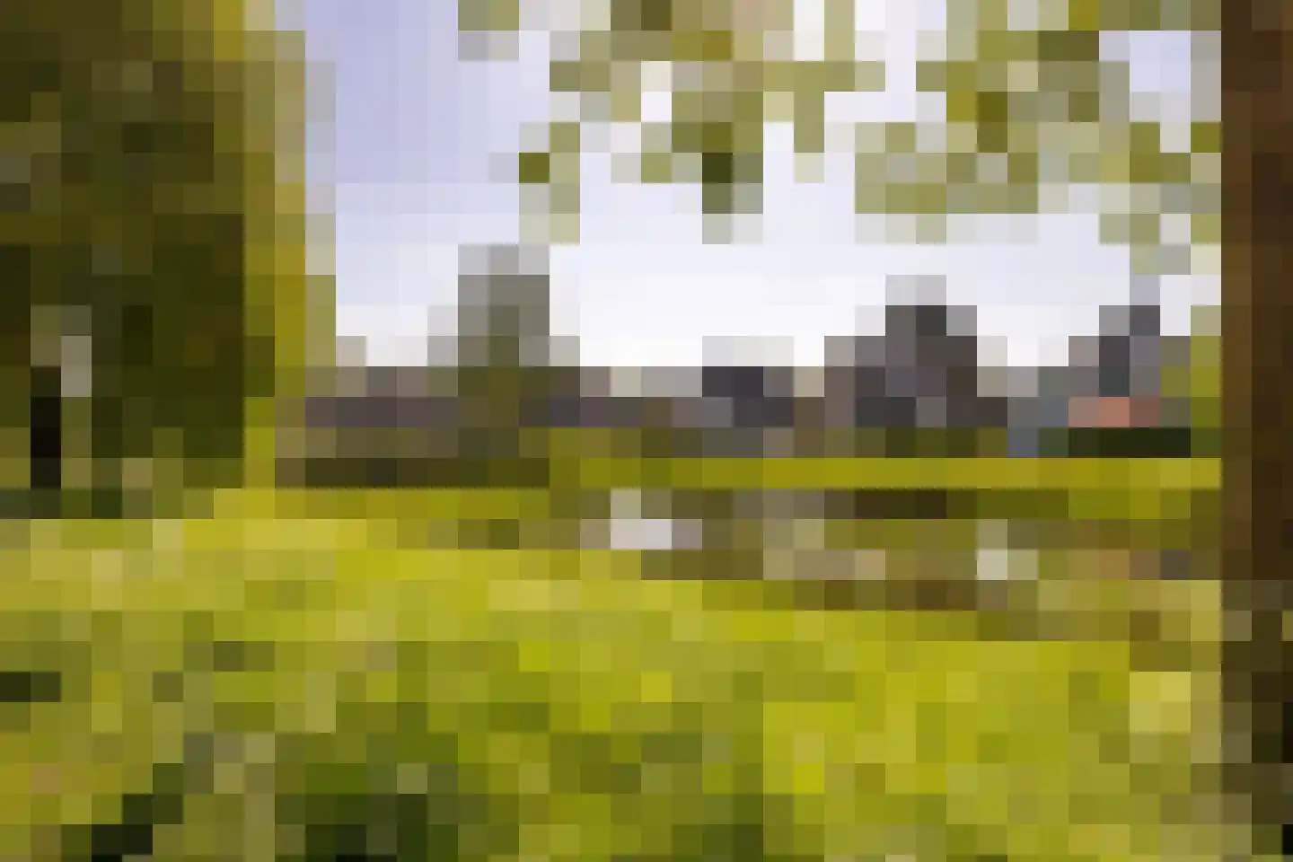 Hoefbladveld 35 Doetinchem thumbnail 37