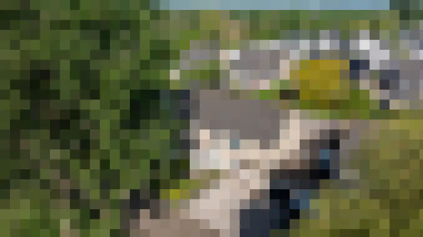 Hoefbladveld 35 Doetinchem thumbnail 38