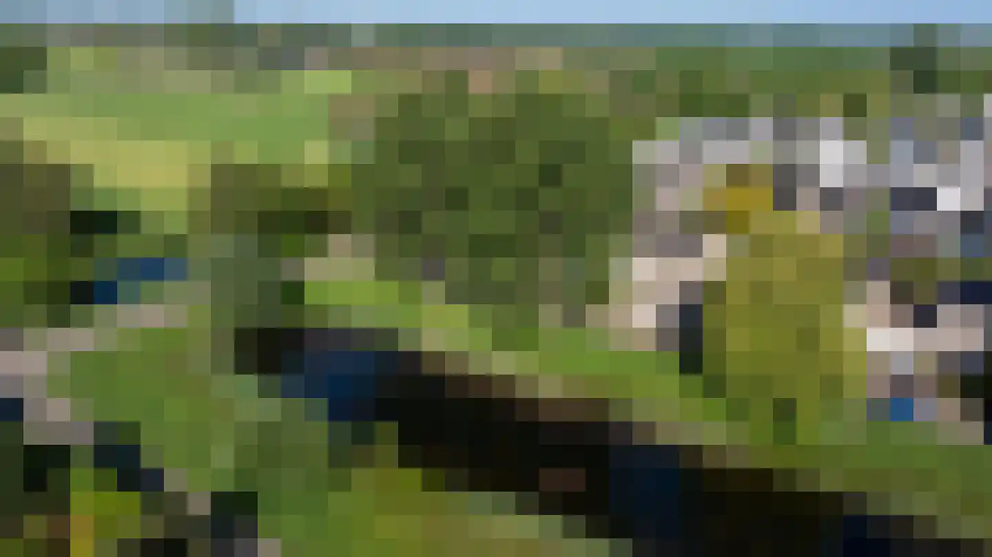 Hoefbladveld 35 Doetinchem thumbnail 39