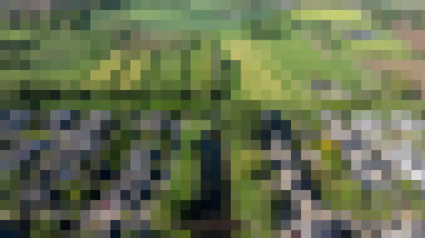 Hoefbladveld 35 Doetinchem thumbnail 41