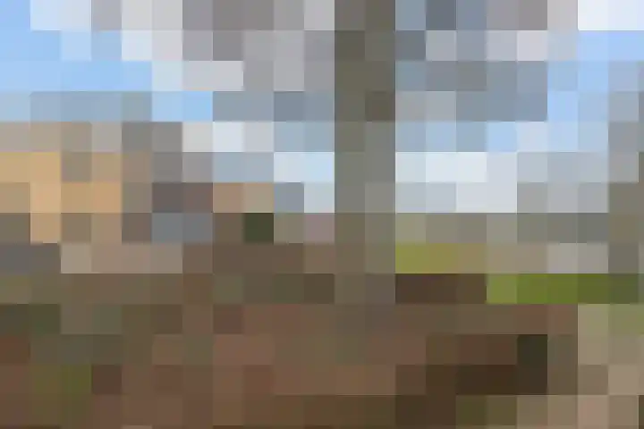 Hoefbladveld 49 Doetinchem thumbnail 22