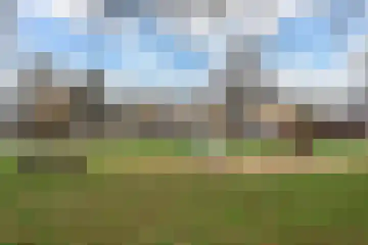 Hoefbladveld 49 Doetinchem thumbnail 25
