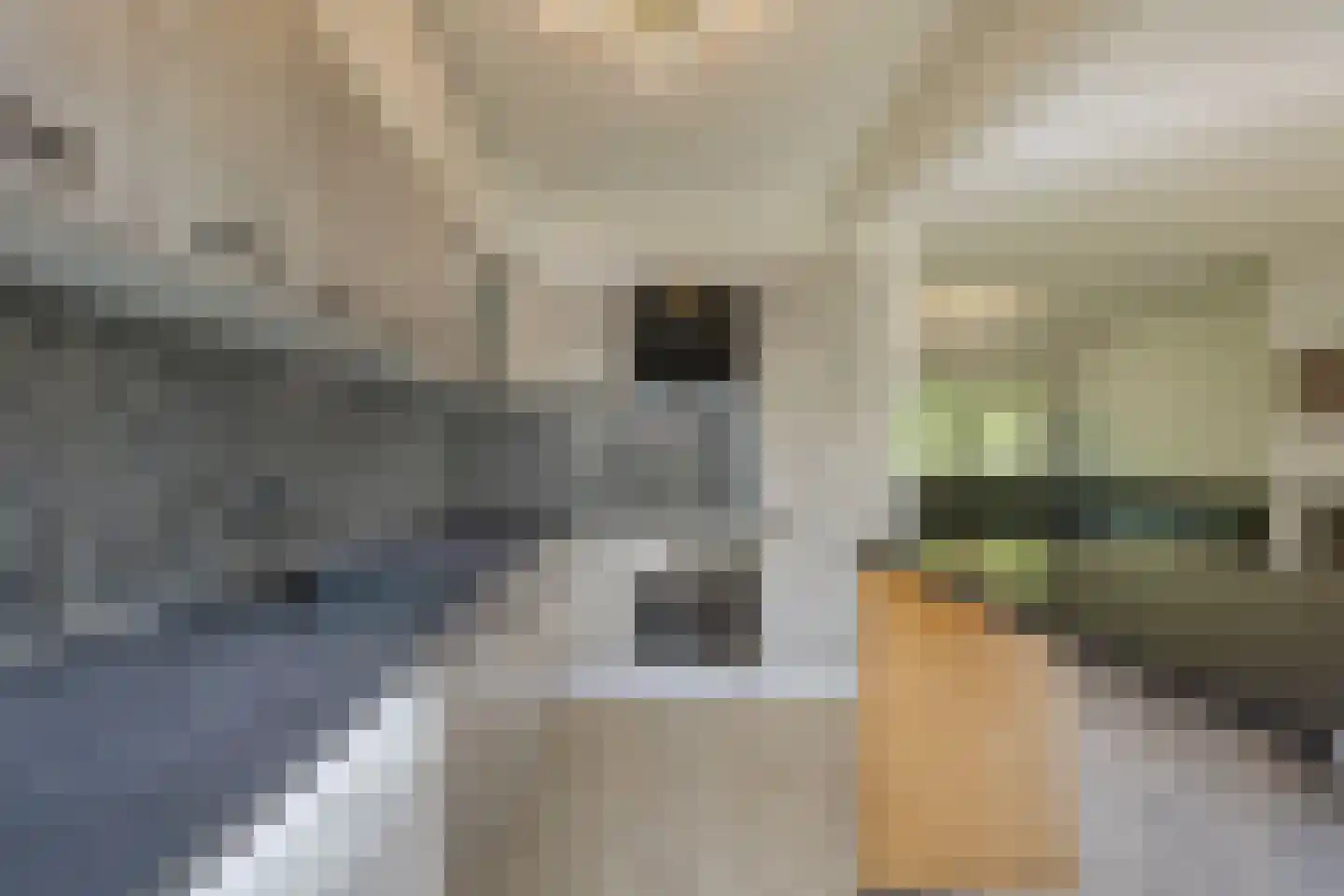 Hoefbladweg 20 Zaandam thumbnail 16