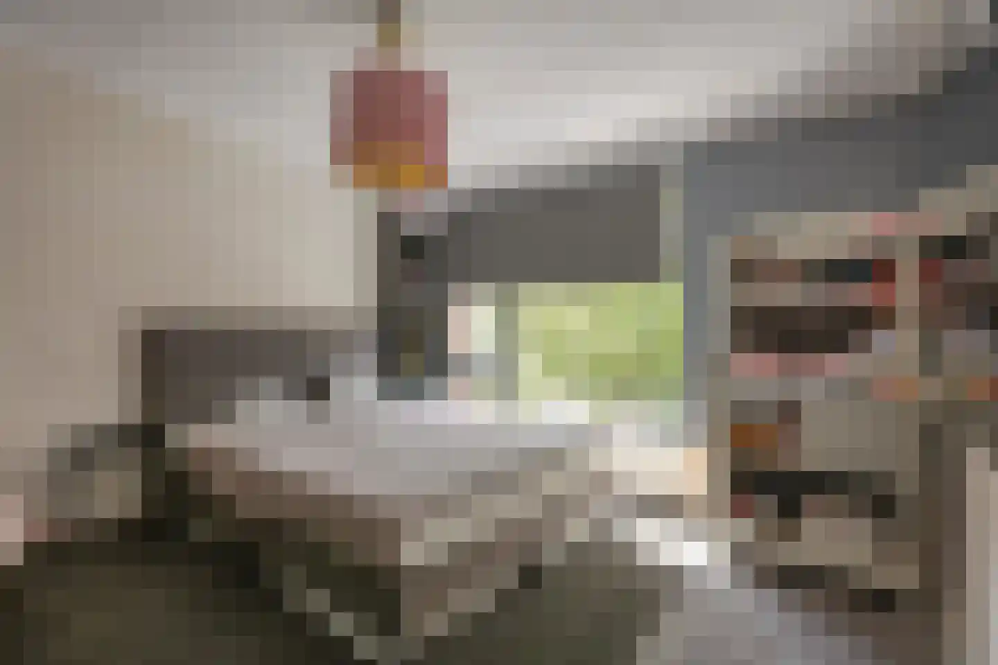 Hoefbladweg 20 Zaandam thumbnail 25