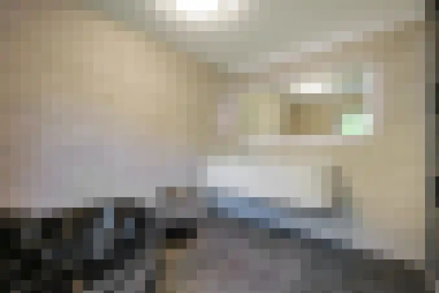 Hoefbladweg 20 Zaandam thumbnail 35