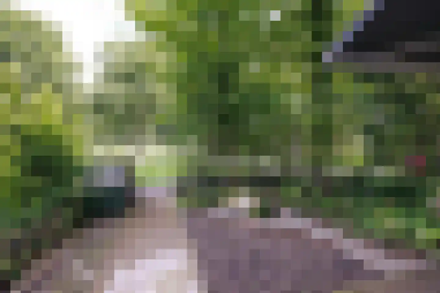 Hoefbladweg 20 Zaandam thumbnail 39