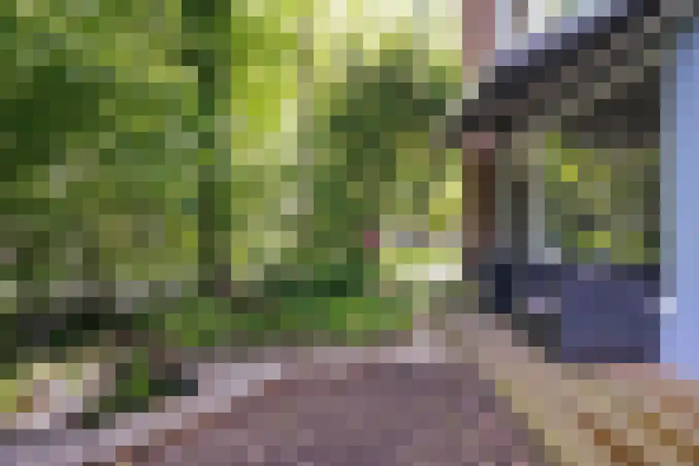 Hoefbladweg 20 Zaandam thumbnail 40