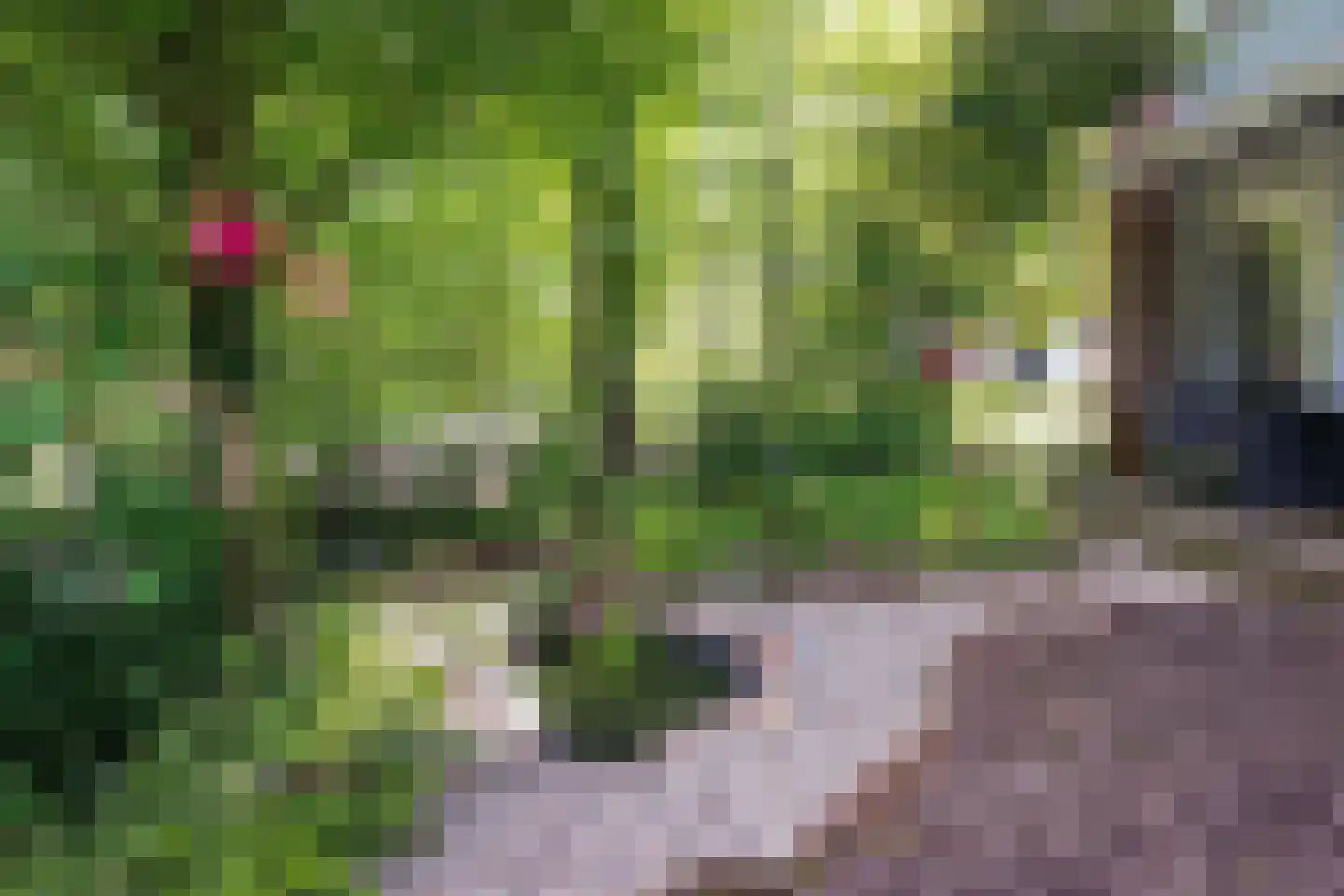 Hoefbladweg 20 Zaandam thumbnail 41