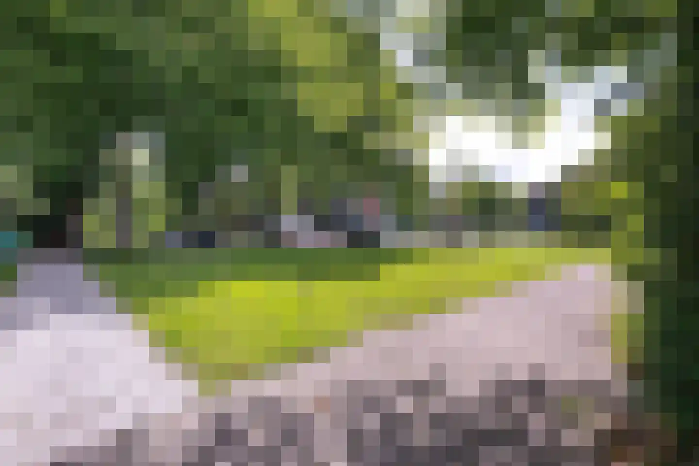 Hoefbladweg 20 Zaandam thumbnail 42