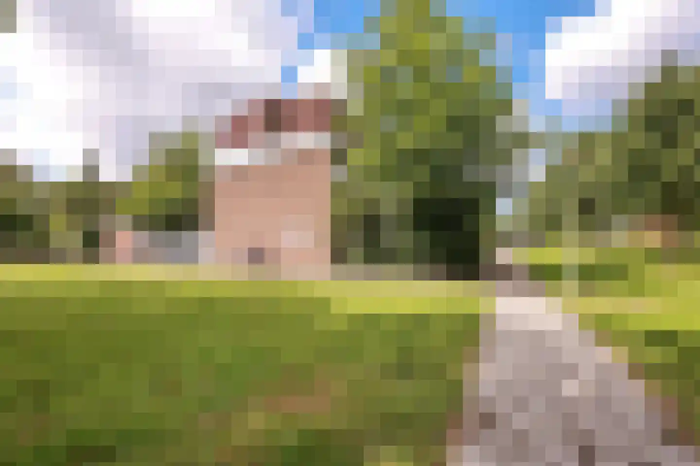 Hoefbladweg 20 Zaandam thumbnail 44