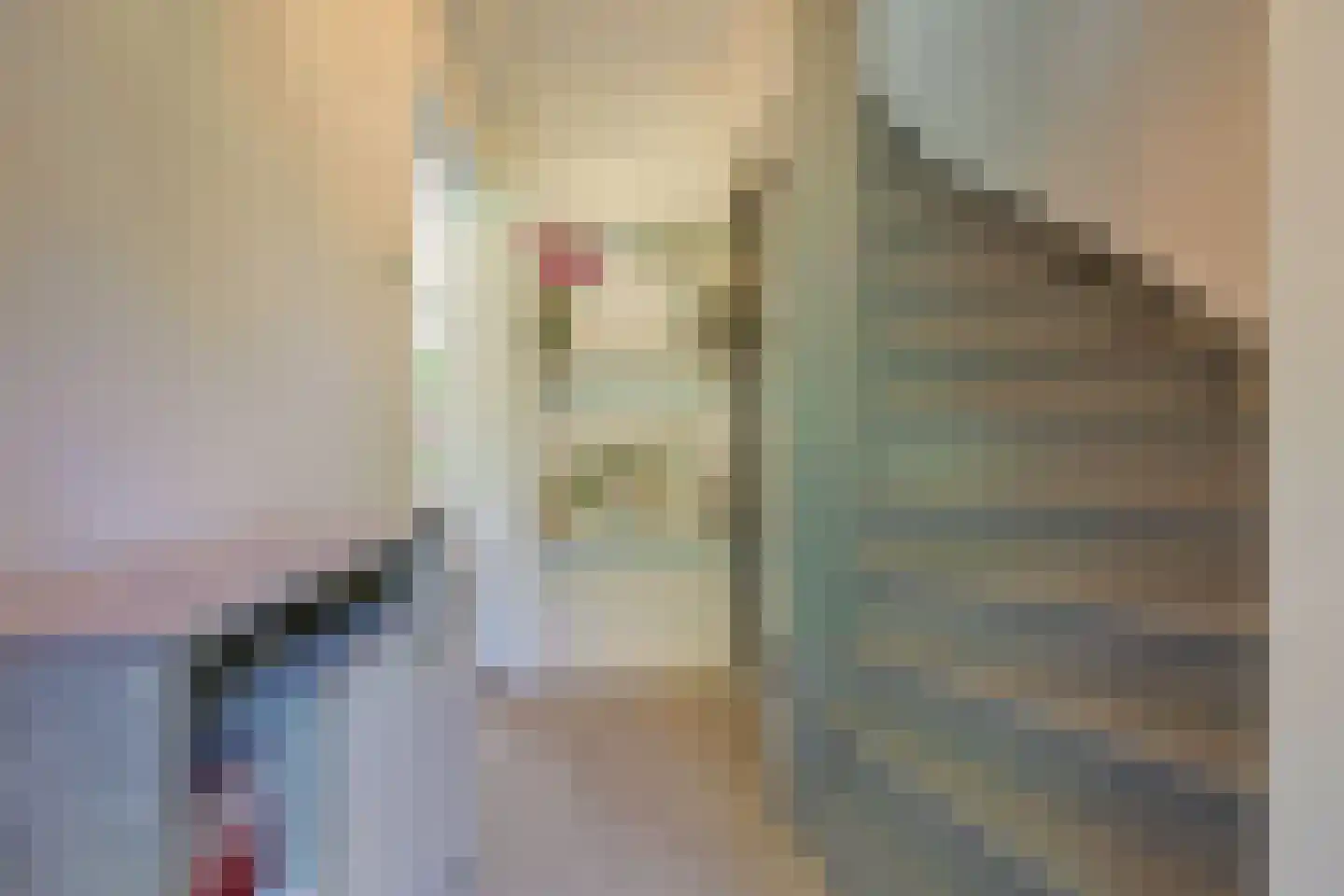 Hoefbladweg 20 Zaandam thumbnail 7