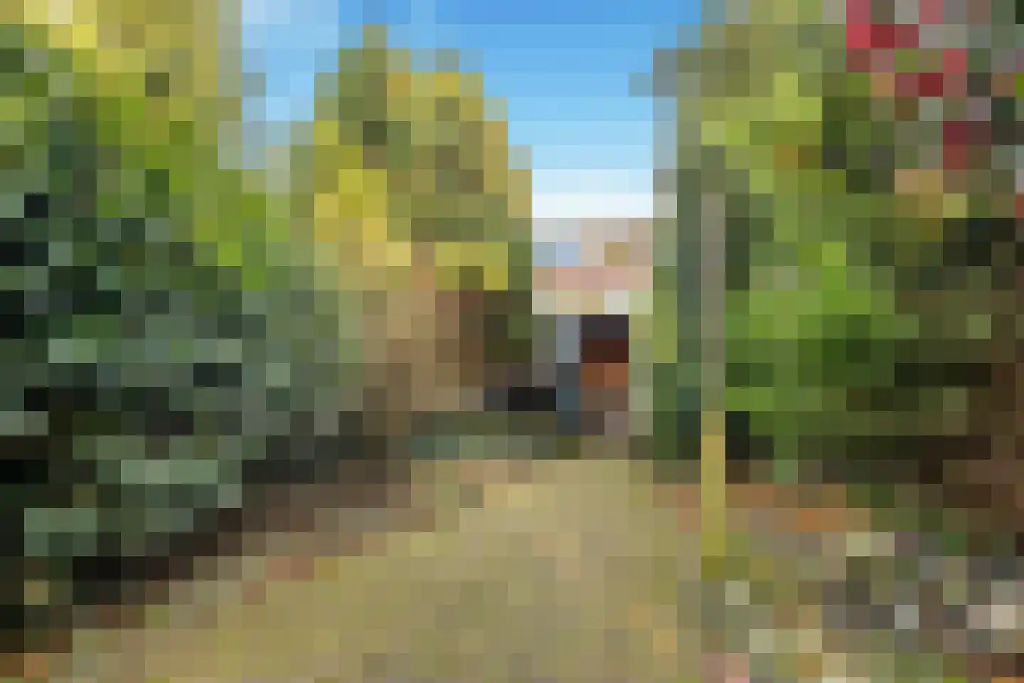 Hoefcamplaan 11 Heiloo thumbnail 32