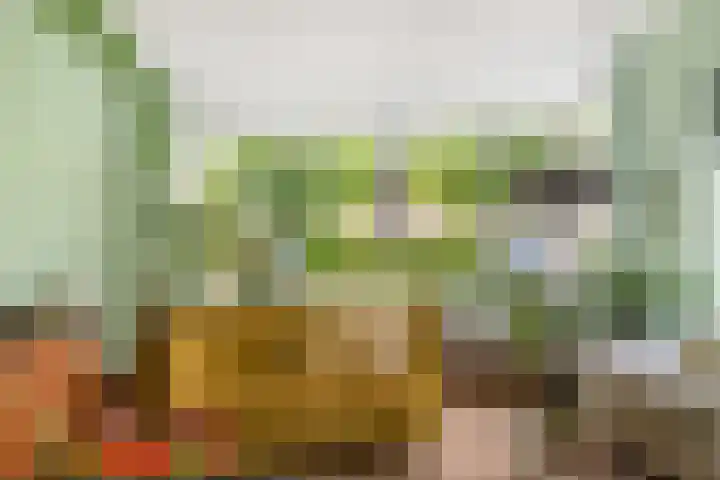 Hoefcamplaan 2 Heiloo thumbnail 12