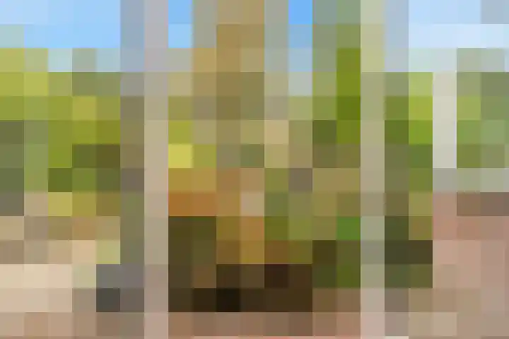Hoefcamplaan 2 Heiloo thumbnail 17