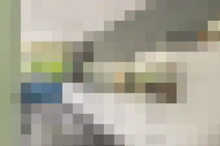Hoefcamplaan 2 Heiloo thumbnail 20