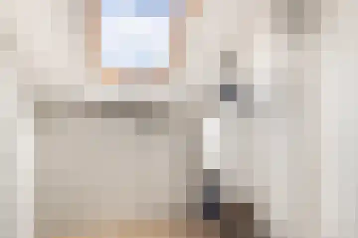 Hoefcamplaan 2 Heiloo thumbnail 43
