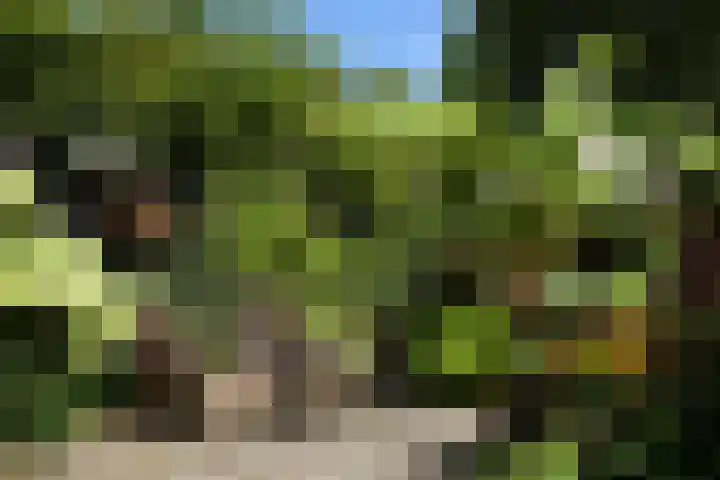 Hoefcamplaan 2 Heiloo thumbnail 48