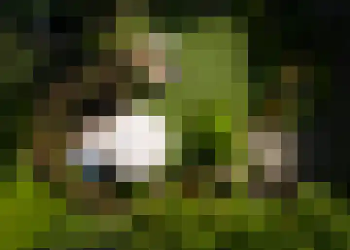 Hoefcamplaan 2 Heiloo thumbnail 49