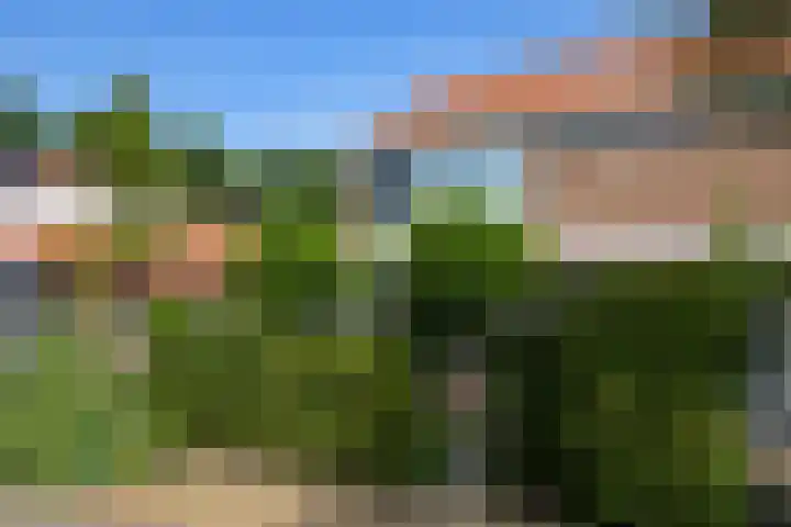 Hoefcamplaan 2 Heiloo thumbnail 5