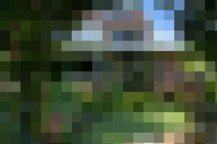 Hoefcamplaan 2 Heiloo thumbnail 51