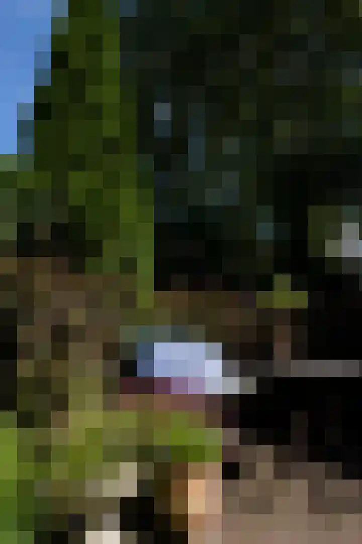 Hoefcamplaan 2 Heiloo thumbnail 52