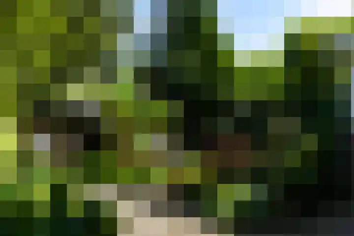 Hoefcamplaan 2 Heiloo thumbnail 53