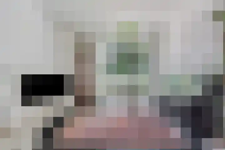 Hoeferlaan 19 Sittard thumbnail 13