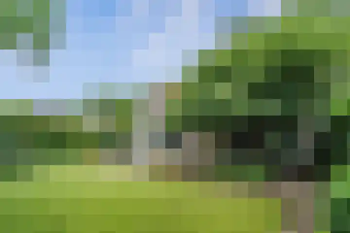 Hoeferlaan 19 Sittard thumbnail 31
