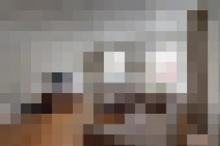 Hoeferlaan 19 Sittard thumbnail 8
