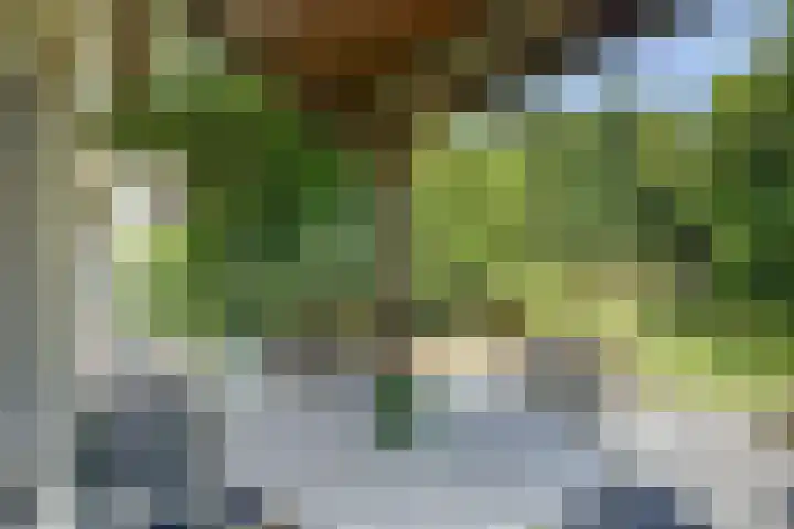Hoeferlaan 2 Sittard thumbnail 47