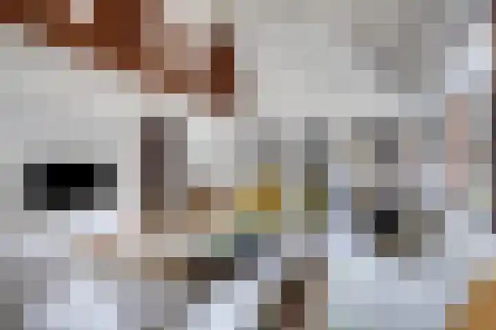 Hoeferlaan 23 Sittard thumbnail 10