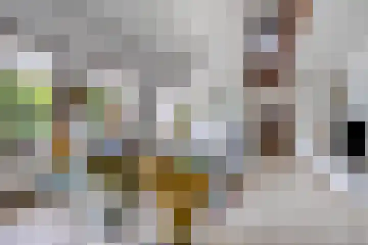 Hoeferlaan 23 Sittard thumbnail 11
