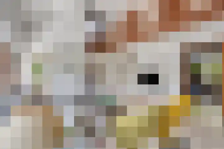Hoeferlaan 23 Sittard thumbnail 17