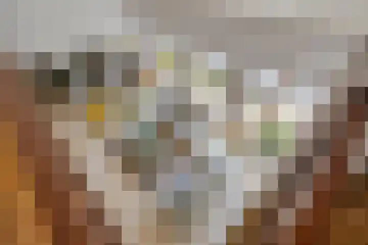 Hoeferlaan 23 Sittard thumbnail 33