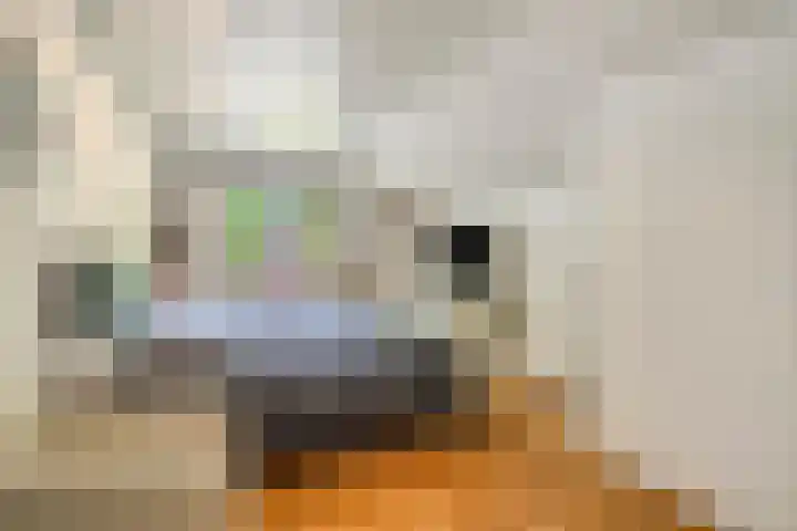 Hoeferlaan 23 Sittard thumbnail 34