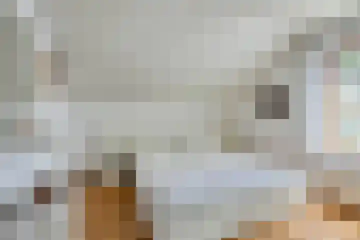 Hoeferlaan 23 Sittard thumbnail 39