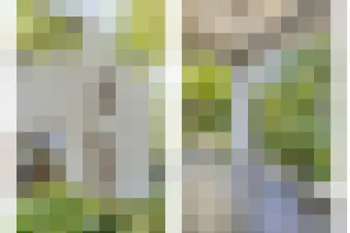 Hoeferlaan 23 Sittard thumbnail 4