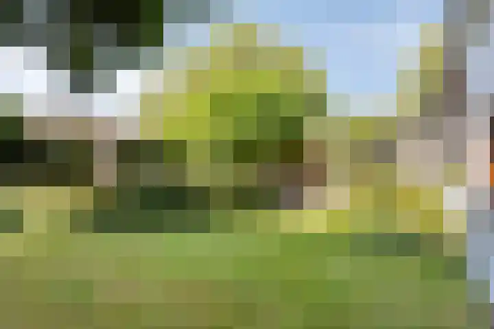 Hoeferlaan 23 Sittard thumbnail 43
