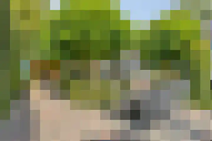 Hoeferlaan 23 Sittard thumbnail 44