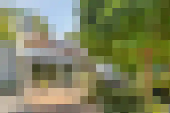 Hoeferlaan 23 Sittard thumbnail 47