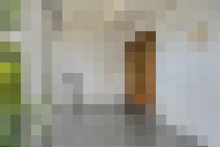Hoeferlaan 23 Sittard thumbnail 5