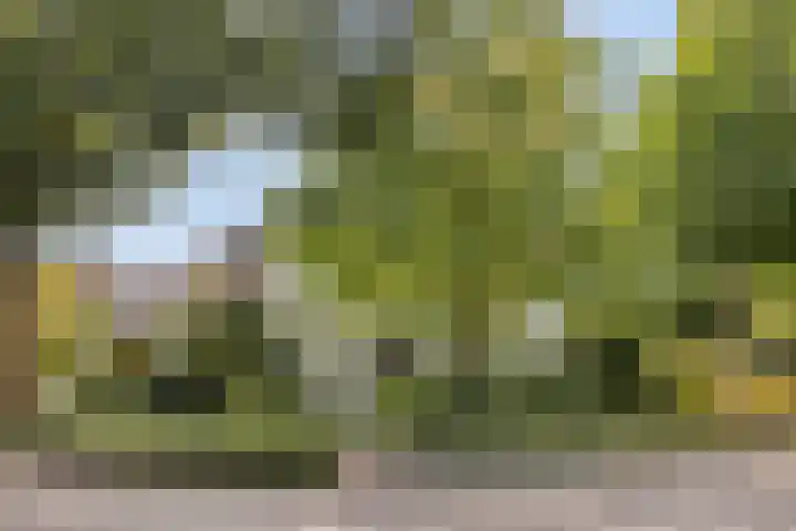 Hoeferlaan 23 Sittard thumbnail 53