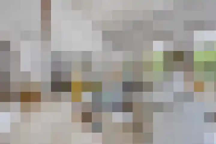 Hoeferlaan 23 Sittard thumbnail 9