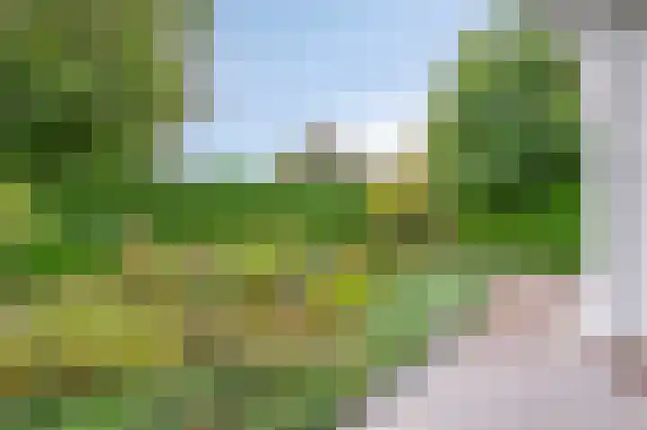 Hoeferlaan 25 Sittard thumbnail 18