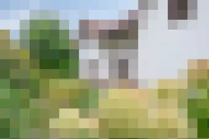 Hoeferlaan 25 Sittard thumbnail 19