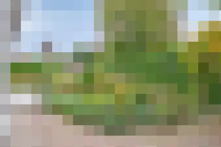 Hoeferlaan 25 Sittard thumbnail 20