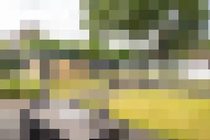 Hoeferpark 28 Beek thumbnail 30