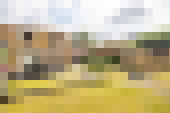Hoeferpark 28 Beek thumbnail 31