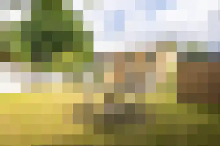 Hoeferpark 28 Beek thumbnail 32